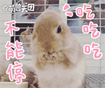 吃吃吃