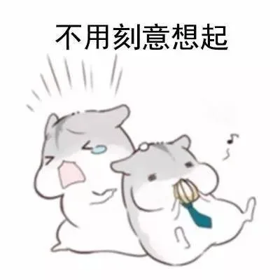 不用刻意想起（不用刻意想起）