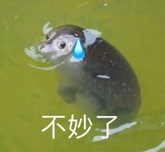 不妙了（不妙了）