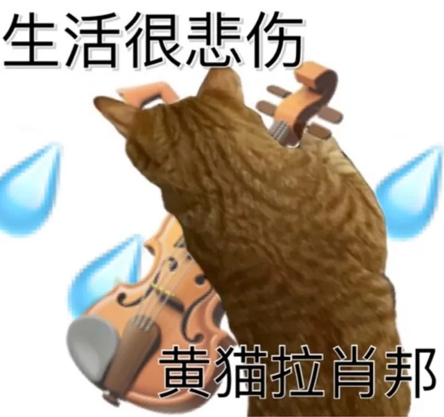 生活很悲伤黄猫拉肖邦（生活很悲伤黄猫拉肖邦）