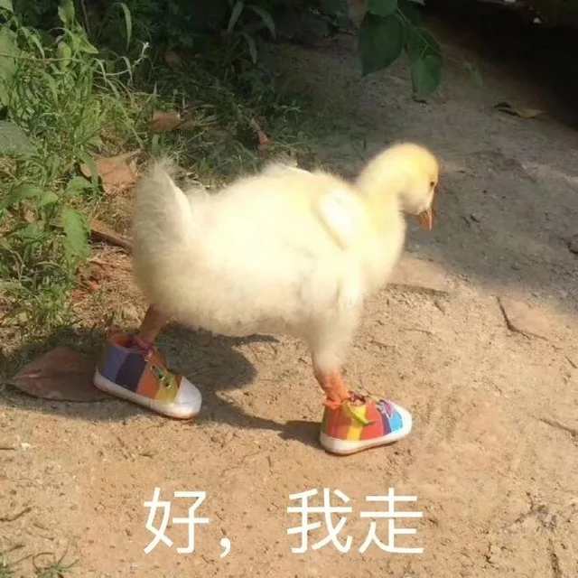 好，我走（好，我走）