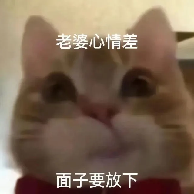 老婆心情差面子要放下（老婆心情差面子要放下）