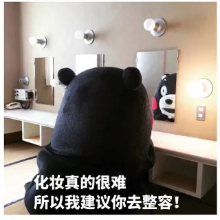 异性恋爱太辛苦，所以我建议你搞基#熊本熊表情包#_熊本熊_神转折_逗比_人生经验_表情头牌_卡通