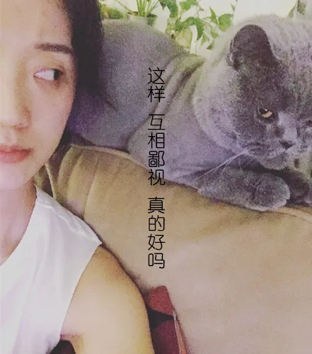 这样 互相鄙视 真的好吗（这样 互相鄙视 真的好吗）