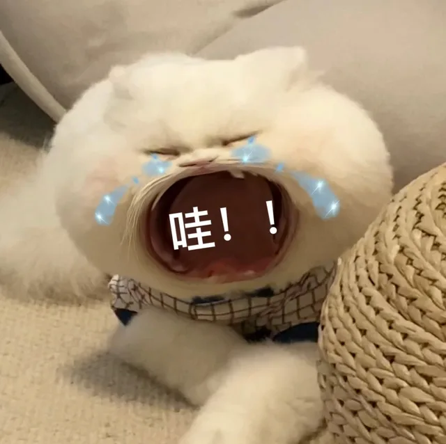 哇!!（哇!!）