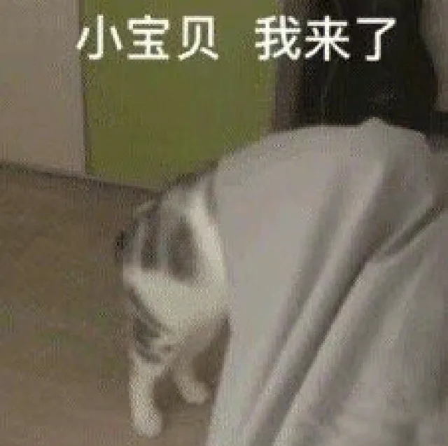 小宝贝我来了（小宝贝我来了）