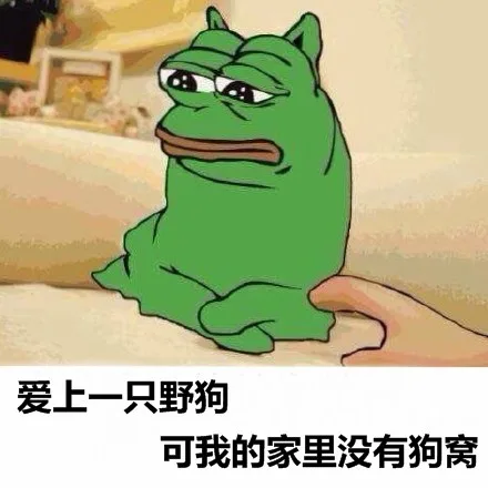 爱上一只野狗，可我的家里没有狗窝（爱上一只野狗，可我的家里没有狗窝）