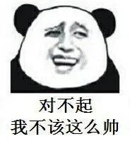 对不起 我不该这么帅