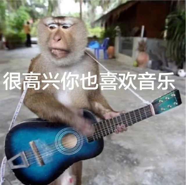 很高兴你也喜欢音乐（很高兴你也喜欢音乐）