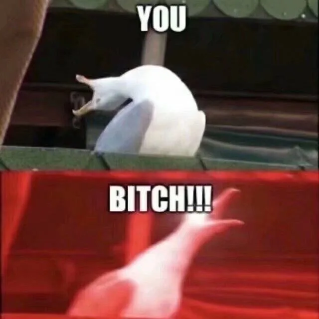 你个 bitch!!!（你个 bitch!!!）