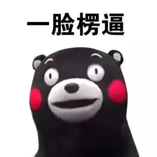 熊本熊楞逼表情包_一脸楞逼_懵逼_熊本熊_好玩_表情头牌_卡通表情包