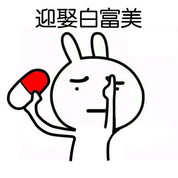 迎娶白富美（迎娶白富美）