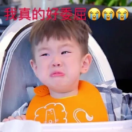 我真的好委屈（我真的好委屈）