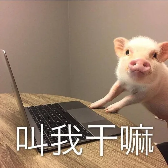 叫我干嘛（叫我干嘛）