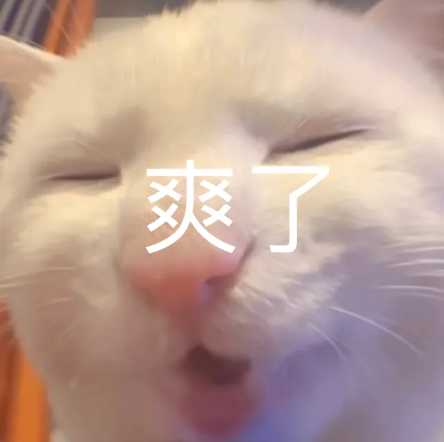 爽了（爽了）