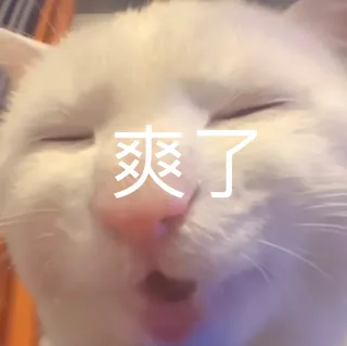 奇怪的猫猫表情包_猥琐表情包