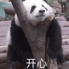 开心(大熊猫表情包)（开心(大熊猫表情包)）