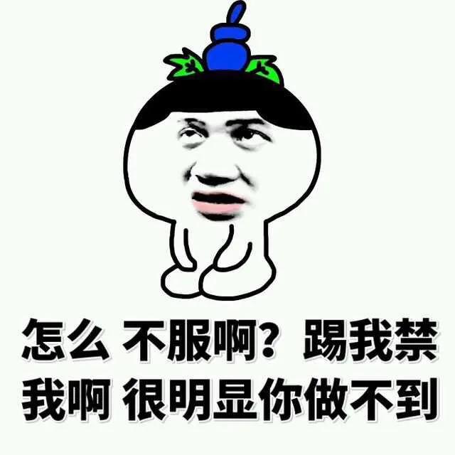 怎么，不服啊？踢我禁我啊，很明显你做不到！（怎么，不服啊？踢我禁我啊，很明显你做不到！）