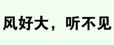 风好大，听不见（风好大，听不见）
