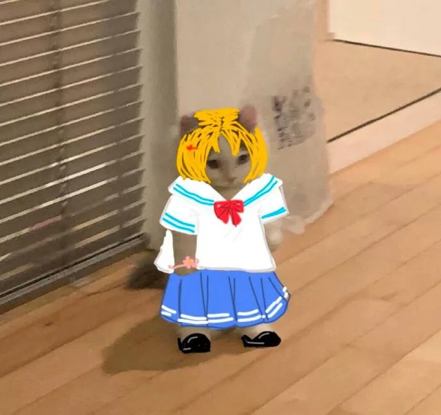 猫猫穿JK（猫猫穿JK）