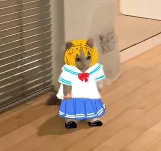 猫猫穿衣表情包