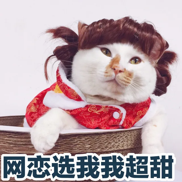 i网恋选我我超甜（i网恋选我我超甜）