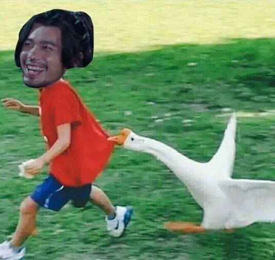 (鹅)