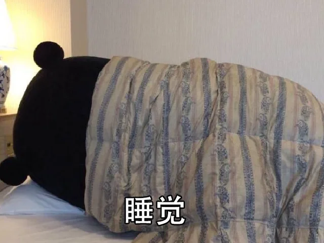 睡觉（睡觉）