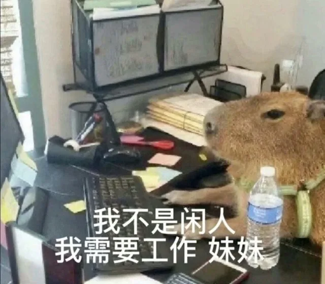 我不是闲人我需要工作妹妹（我不是闲人我需要工作妹妹）