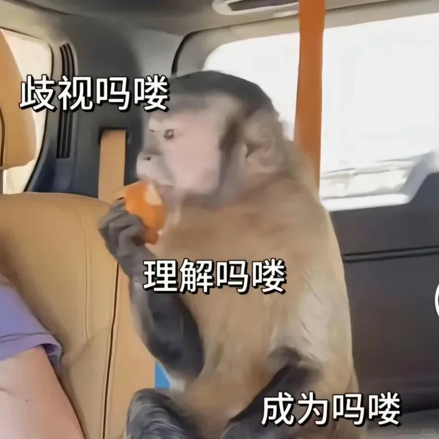 歧视吗喽理解吗喽成为吗喽（歧视吗喽理解吗喽成为吗喽）