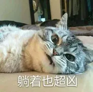 躺着也超凶