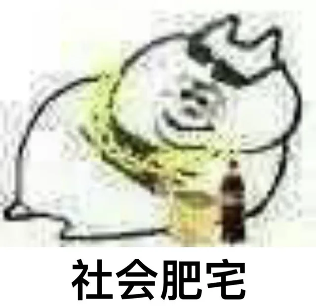 社会肥宅