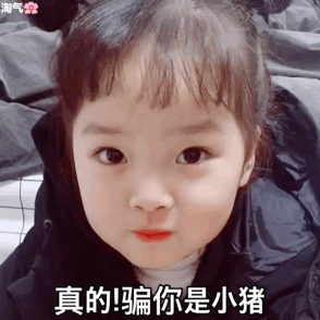 真的！骗你是小猪