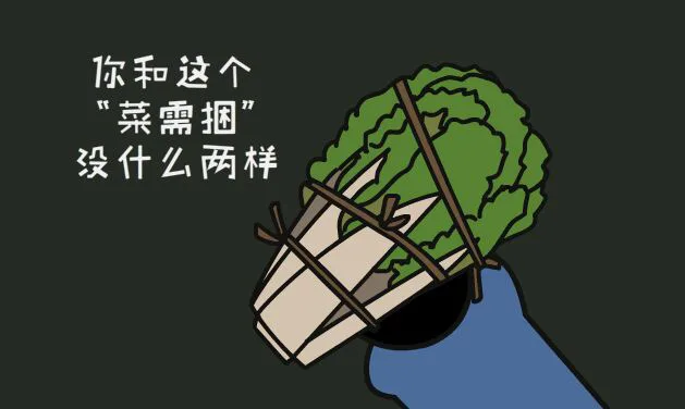 你和这个菜需捆没什么两样（你和这个菜需捆没什么两样）