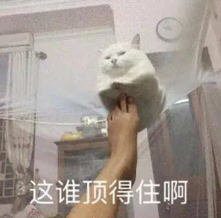 顶不住&顶得住表情包系列表情包