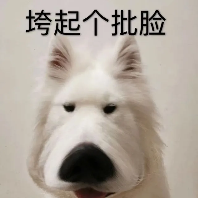 垮起个批脸