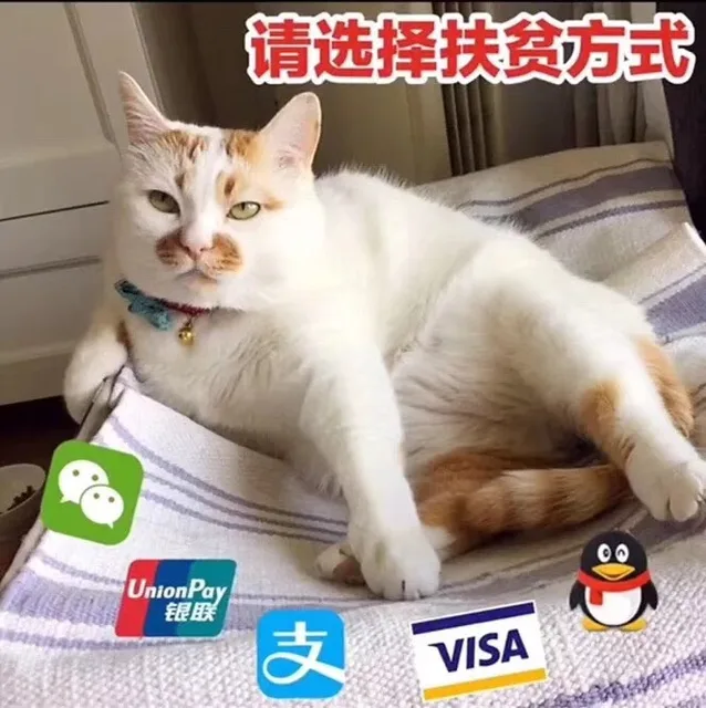 请选择扶贫方式（猫咪楼楼 支付宝 微信支付 银联支付）