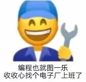 编程也就图一乐收收心找个电子厂上班了（编程也就图一乐收收心找个电子厂上班了）