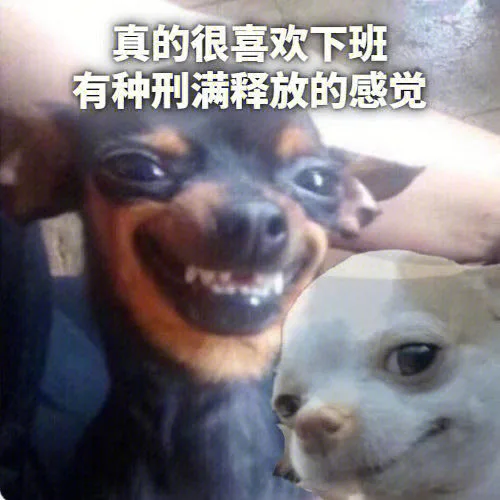 真的很喜欢下班有种刑满释放的感觉（真的很喜欢下班有种刑满释放的感觉）