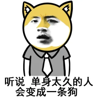 听说 单身太久的人 会变成一条狗