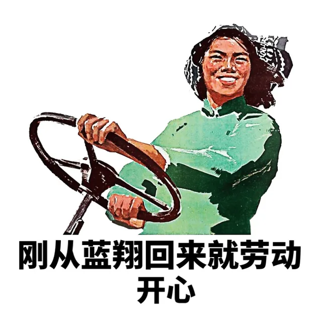 刚从蓝翔回来就劳动就开心（刚从蓝翔回来就劳动就开心）