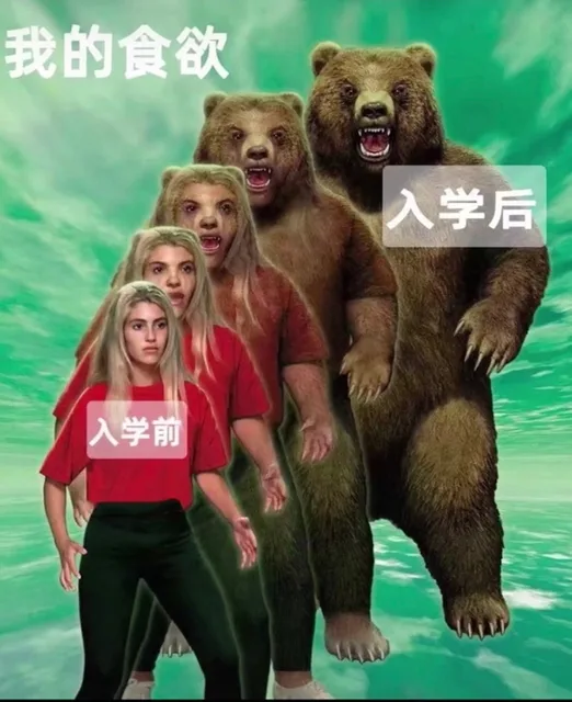 我的食欲入学后入学前