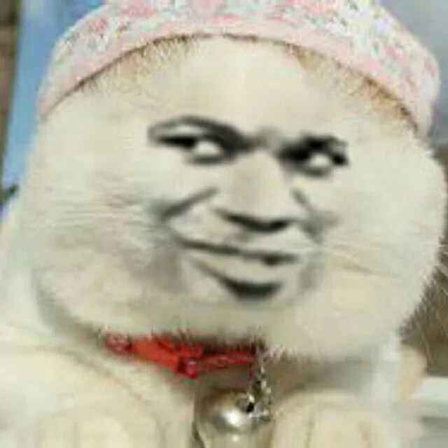 变脸猫（变脸猫）