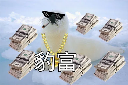 豹可爱！社会我豹哥_海豹_暴_萌萌哒表情包