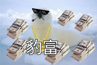 豹可爱！社会我豹哥_海豹_暴_萌萌哒表情包