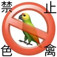 禁止色禽（禁止色禽）