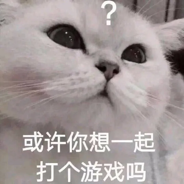 或许你想一起打个游戏吗（或许你想一起打个游戏吗）