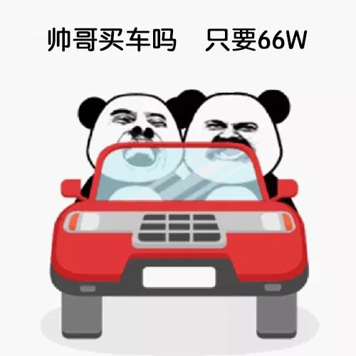 帅哥买车吗只要66W