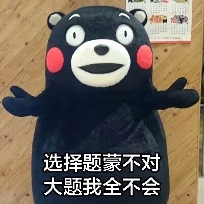 选择题蒙不对，大题我全不会（选择题蒙不对，大题我全不会）