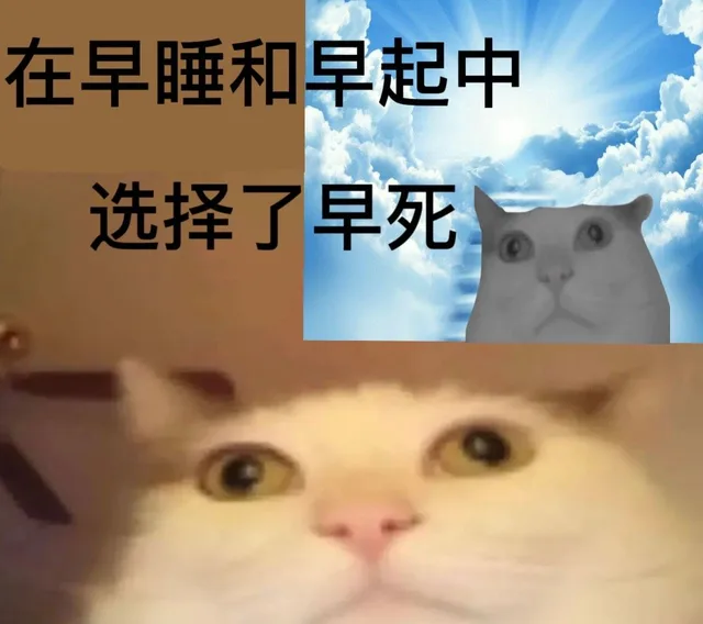 在早睡和早起中选择了早死